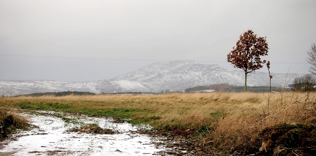 [19%2520Jan%25201-002%255B3%255D.jpg]