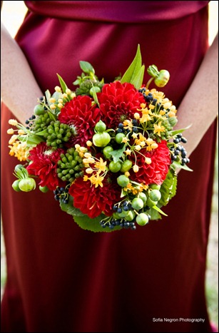 Masino Monoky Wedding