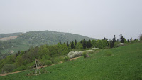 IMG_3656.JPG