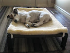 This helps shelter residents get needed rest and endure what is naturally a stressful time.