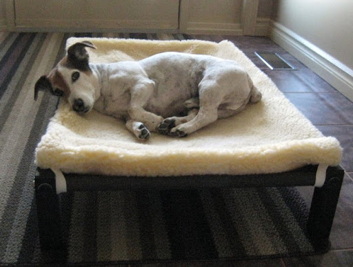 This helps shelter residents get needed rest and endure what is naturally a stressful time.