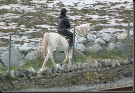 estuary 124