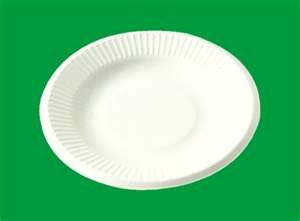 [paper%2520plate%255B2%255D.jpg]