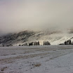 IMG_0939.jpg