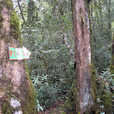 Gunung Sago puncak sign (Daniel Quinn, September 2011)