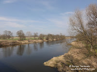 dsc07249.jpg