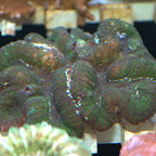 DSC_2107.jpg
