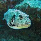 IMG_1748.JPG