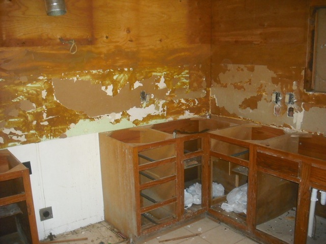 [DSCF20243.jpg]