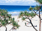 Sprachaufenthalt Surfers Paradise