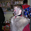 Fašiangy 2008