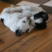 DSCN0160.JPG