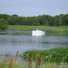 niemiecki jachcik na rz. Odrze dsc05764.jpg