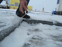 IMG_4153.jpg
