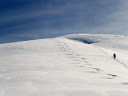 P1010029.JPG
