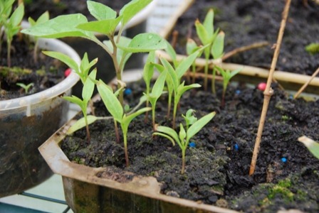 [DSC_0146%255B1%255D.jpg]