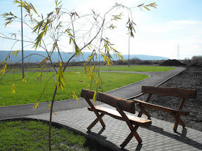 FŐOLDAL: http://www.gardenproiect.ro FŐOLDAL: http://www.gardenproiect.ro