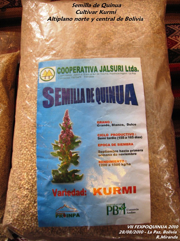 [Semillas%2520de%2520Quinua%2520del%2520cultivar%2520Kurmi%2520-%2520Rub%25C3%25A9n%2520Miranda%2520-%2520Laquinua.blogspot.com%255B9%255D.jpg]