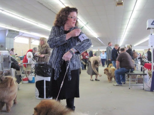 Every dog is assigned a number and the handler wears it on his or her sleeve.