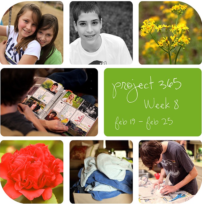 4week8 4week8
