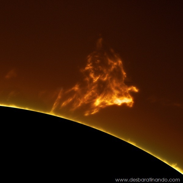 hd-photographs-of-the-sun-alan-friedmans- (5) hd-photographs-of-the-sun-alan-friedmans- (5)