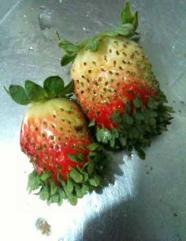 [viral-picdump-pics-42%255B2%255D.jpg]