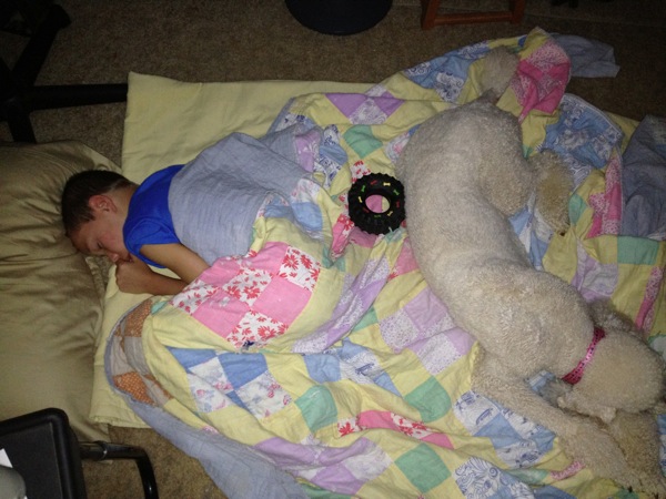 IMG_0390.JPG IMG 0390