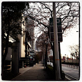 SAKURA2012