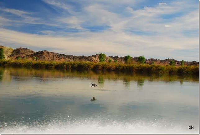 02-18-14 A CO River Tour Yuma to Draper (339) 02-18-14 A CO River Tour Yuma to Draper (339)