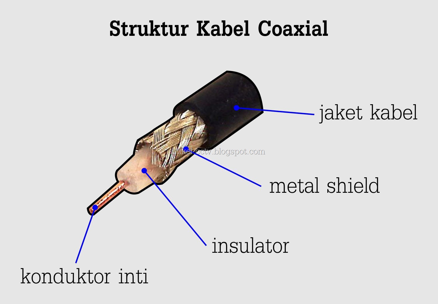 [coaxial%255B15%255D.jpg]
