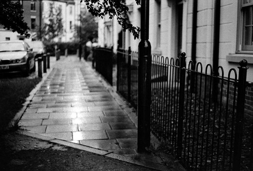 Wet-Pavements---Film