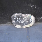 DSC00054.JPG