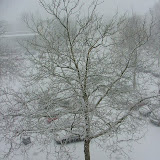 Albumomslag van Sneeuw (2)