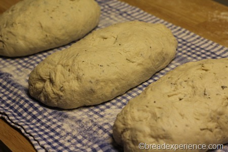 fougasse_1166 fougasse_1166