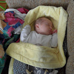 SAM_7117.JPG