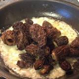 Morel saute
