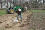 Enlarging the Pumpkin Patch