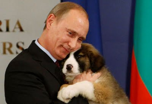 В.В.Путин