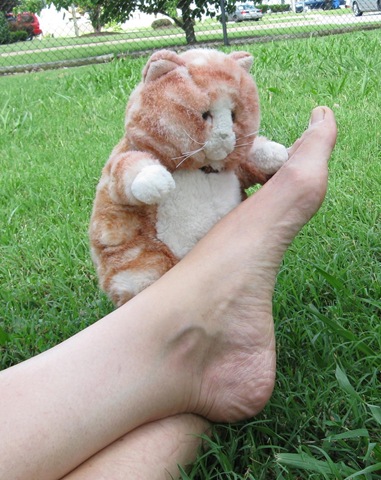 [IMG_8341CROPPED%255B8%255D.jpg]