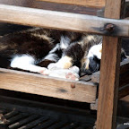 20100815_006_small.JPG
