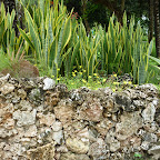 P1010332.JPG