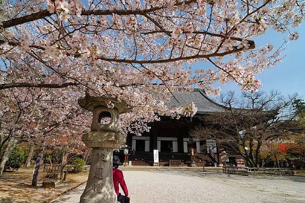 京都真如堂