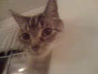 Zooey Deschanel
flashing her baby blues for the camera...