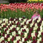 DSCN6748.JPG