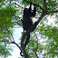 The bus driver said this was a rare species of monkey. They were pretty cool.