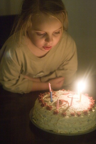 2.19.13 soph cake 3