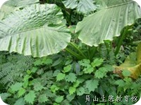 clip_image002