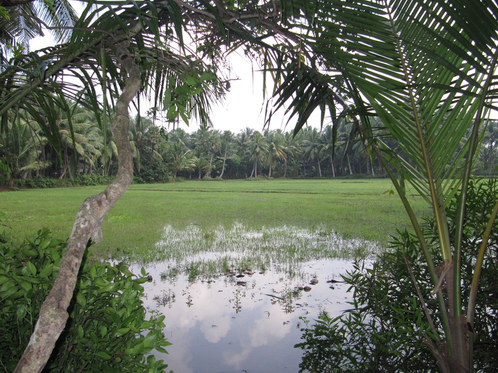[IMG_2467%255B8%255D.jpg]
