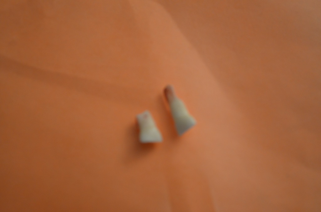 [DSC_1850%255B3%255D.jpg]