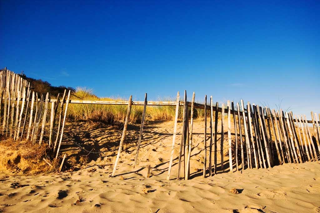 [Sand-Dune-Fencing%255B4%255D.jpg]